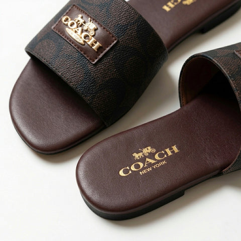Coach Cross Body + Slides + Cherry Keychain - Brown